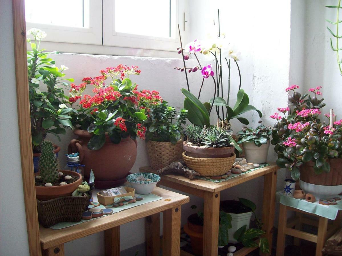 Guest house Porta Del Mare