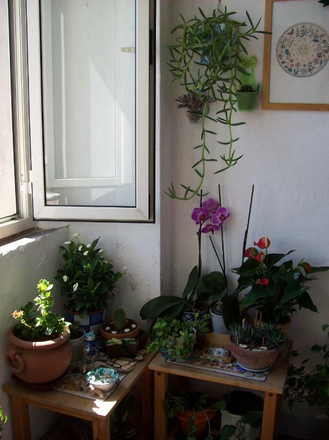 Guest house Porta Del Mare Portoferraio